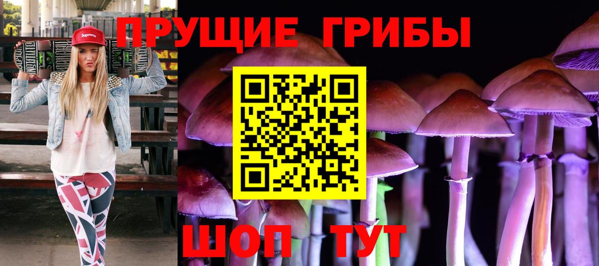 Псилоцибиновые грибы Cubensis  Вход с VPN  Галлюциногенные грибы прущие грибы  Шебекино 